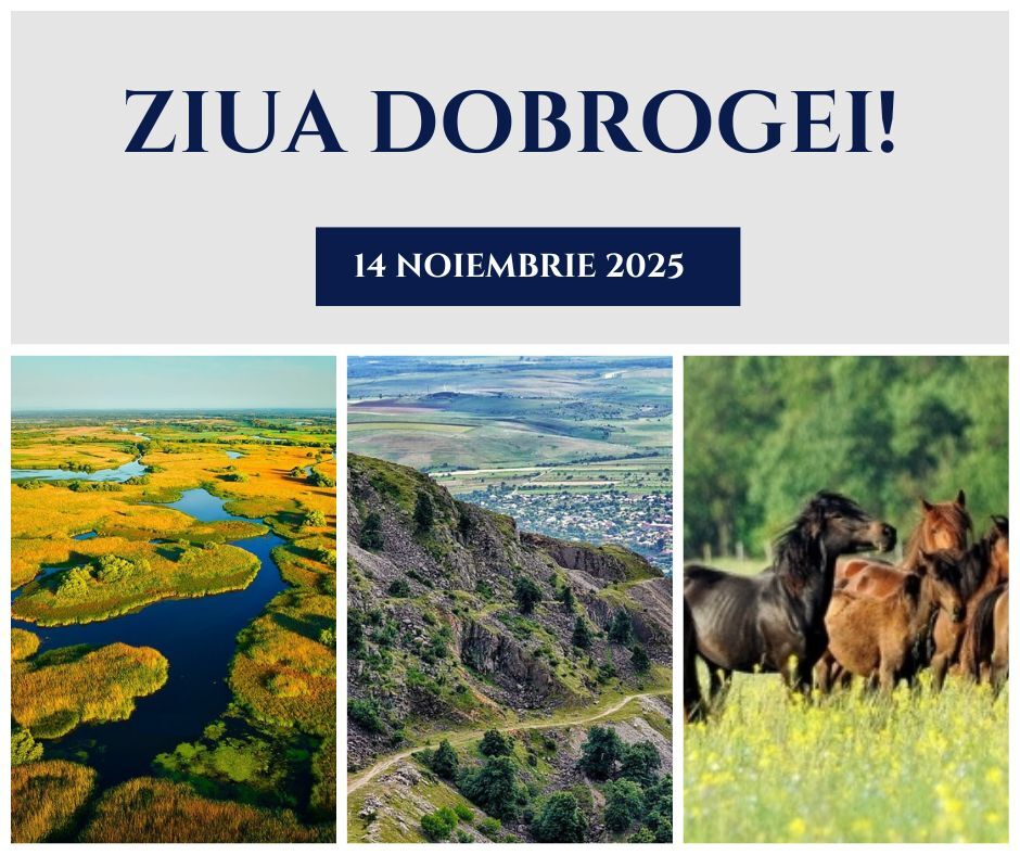Ziua Dobrogei la Liceul Tehnologic Crucea – sărbătoare în pași de copil