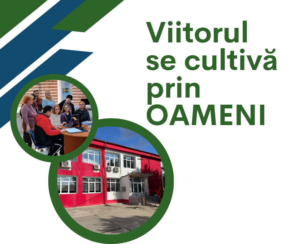 Primaria HarsovaEchipa Noastră