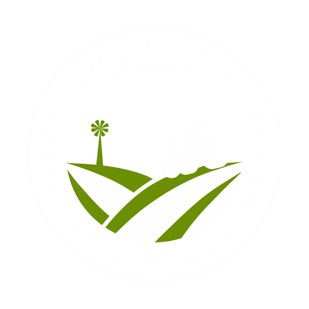 Liceul Tehnologic Crucea